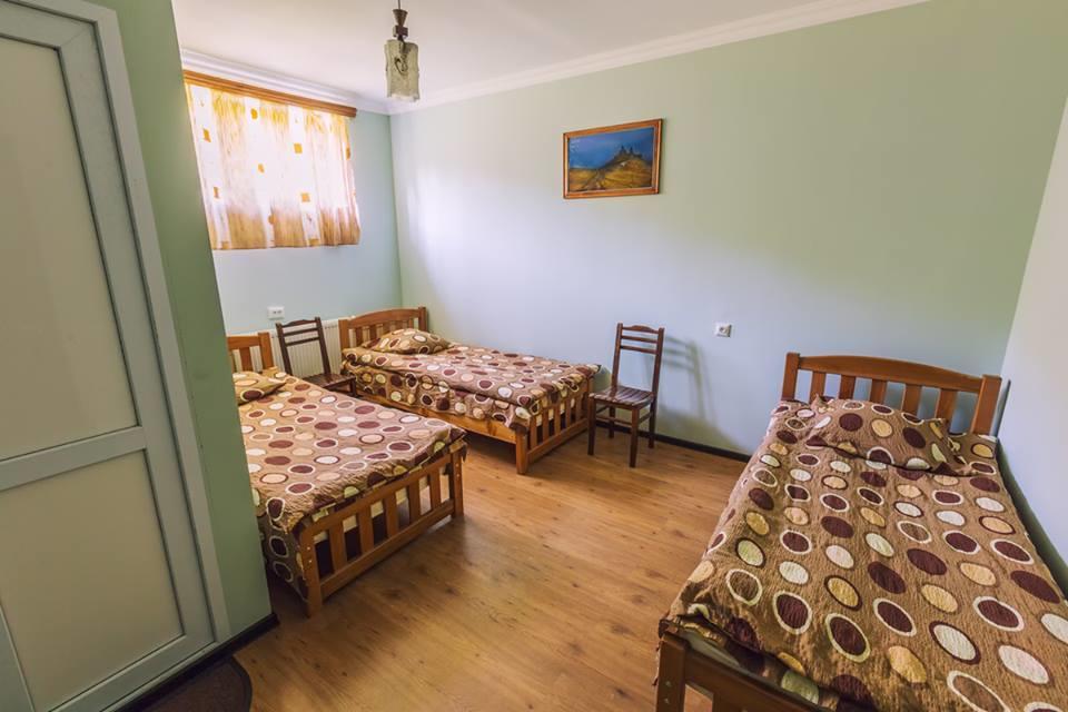 Hotel Nini Kazbegi Bagian luar foto